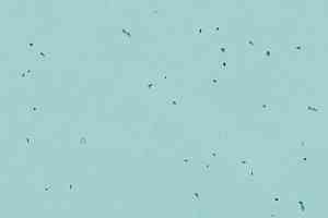 Линолеум Forbo Sphera Energetic 50218 spearmint фото  | FLOORDEALER